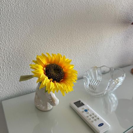 Apartment Algarve - Beach Front - Free Wifi - Air Con Armação de Pêra Dış mekan fotoğraf